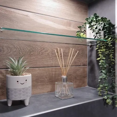 I Helena Two-bedroom Premium Apart Apartment Saints Constantine and Helena